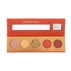 GLOBETROTTER 5 SHADE PALETTE