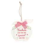Teachers Like You Apple Hanging Decoration