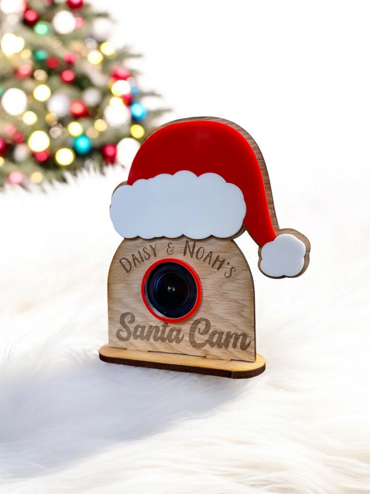 Free standing engraved Santa Cam