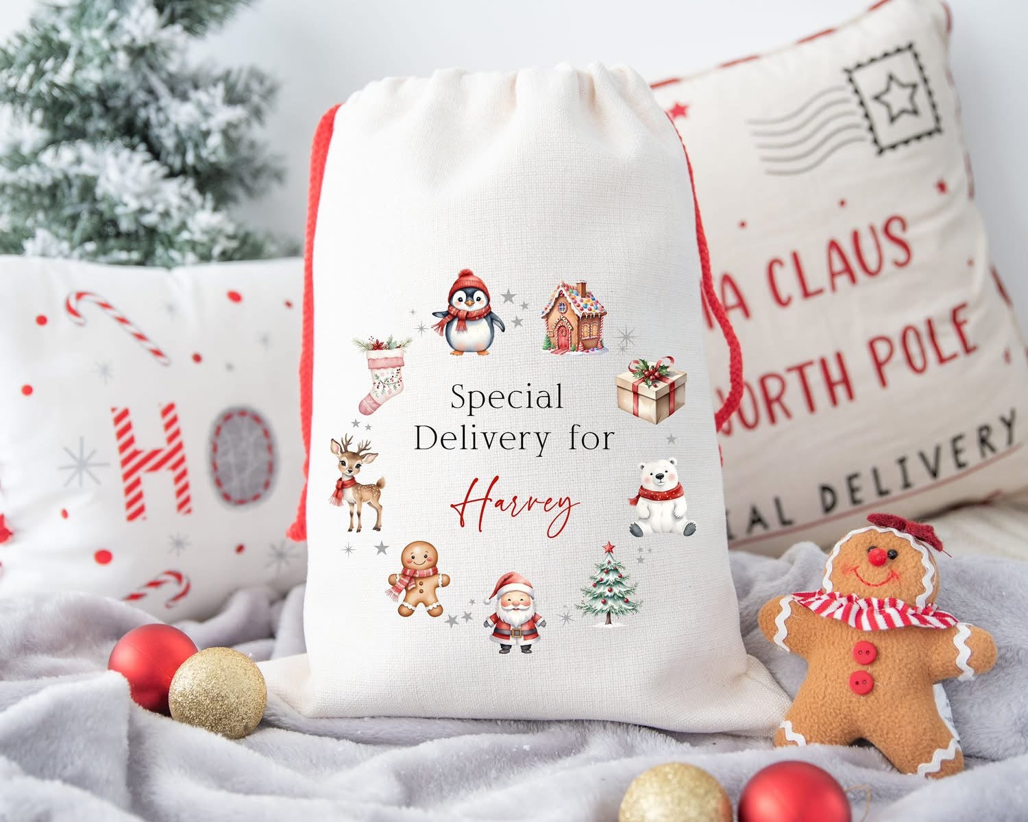 Special delivery sack