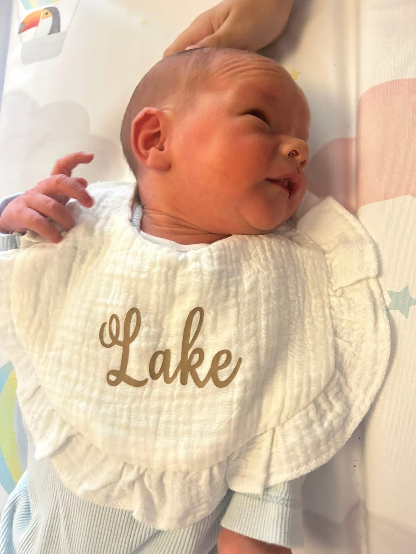 Set of 3 personalised baby bibs