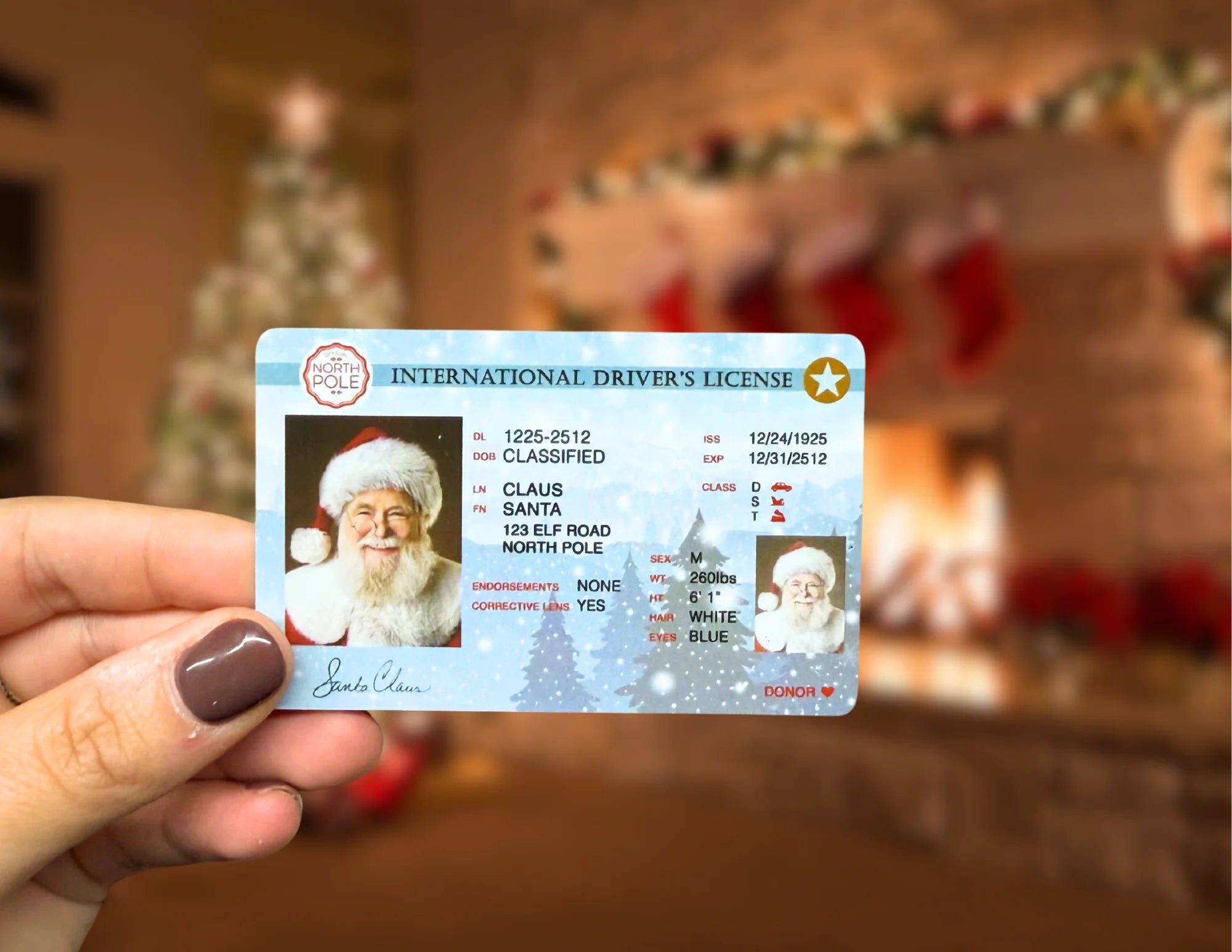 Santa driving license