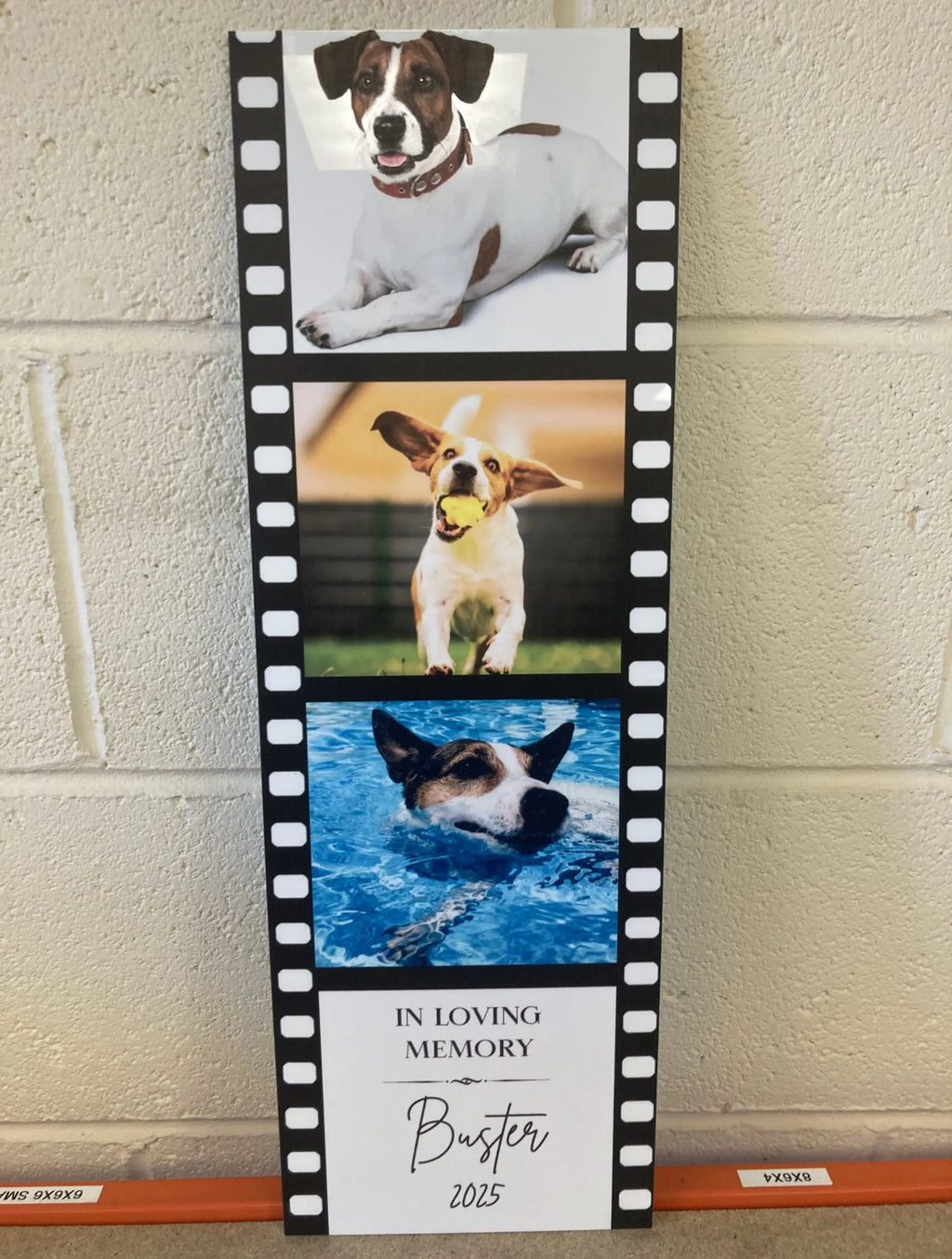 Film Reel wall plaque