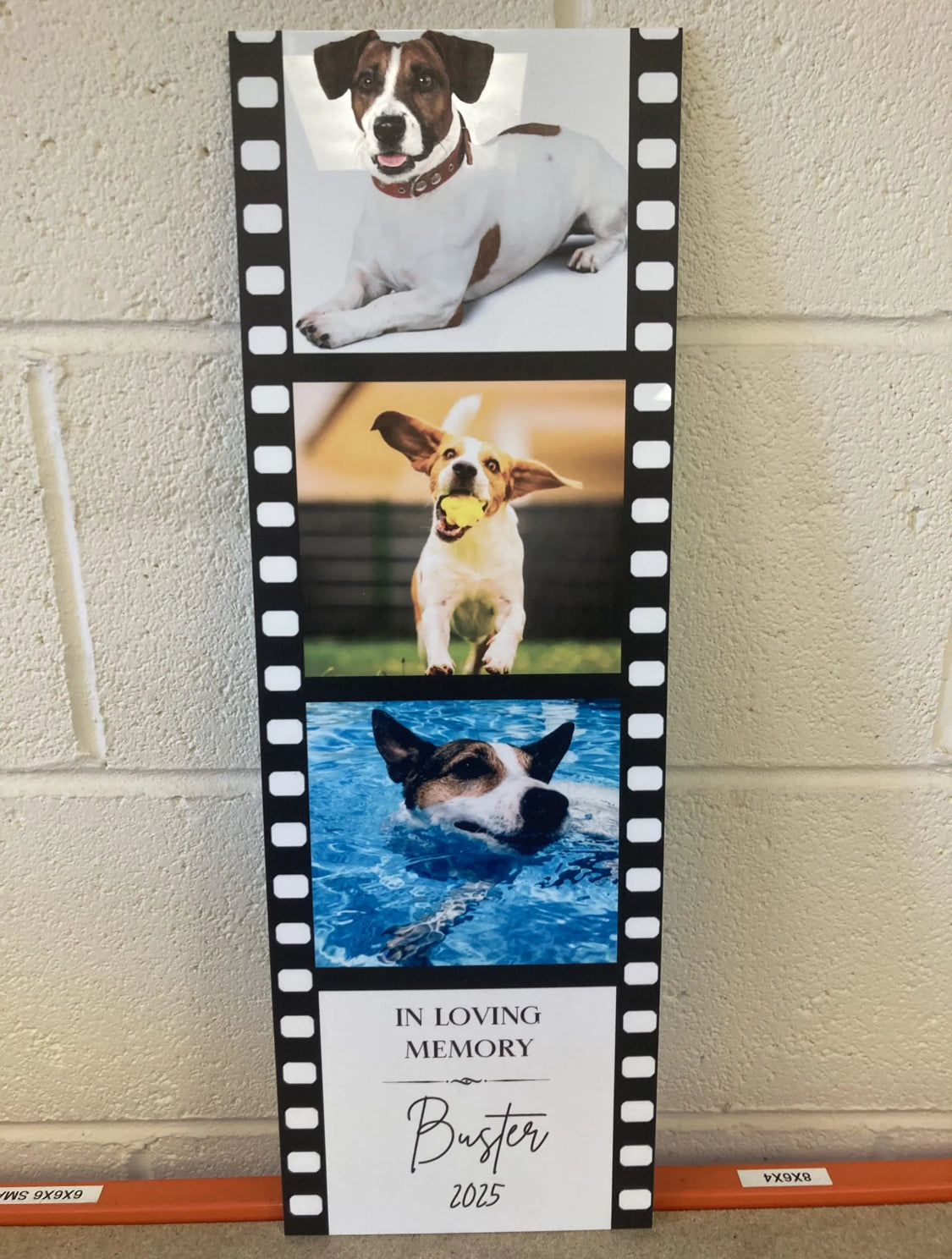 Film Reel wall plaque
