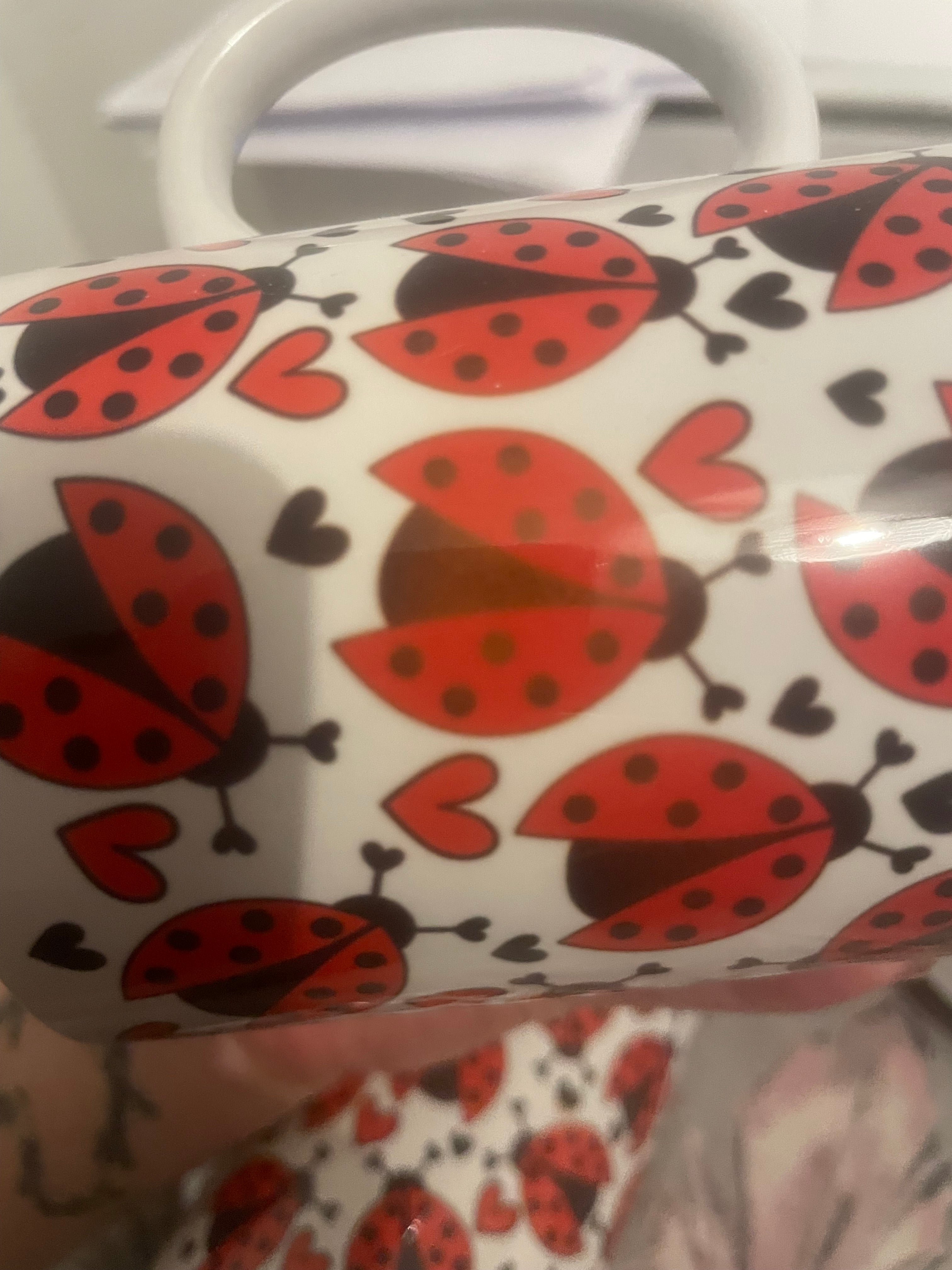 Woopsie love ladybird mug