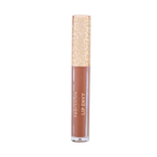 LIP ENVY | HIGH SHINE LIP GLOSS & SATIN LIP LINER DUO