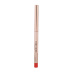 LIP ENVY | HIGH SHINE LIP GLOSS & SATIN LIP LINER DUO