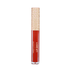 LIP ENVY | HIGH SHINE LIP GLOSS & SATIN LIP LINER DUO