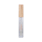 LIP ENVY | HIGH SHINE LIP GLOSS & SATIN LIP LINER DUO