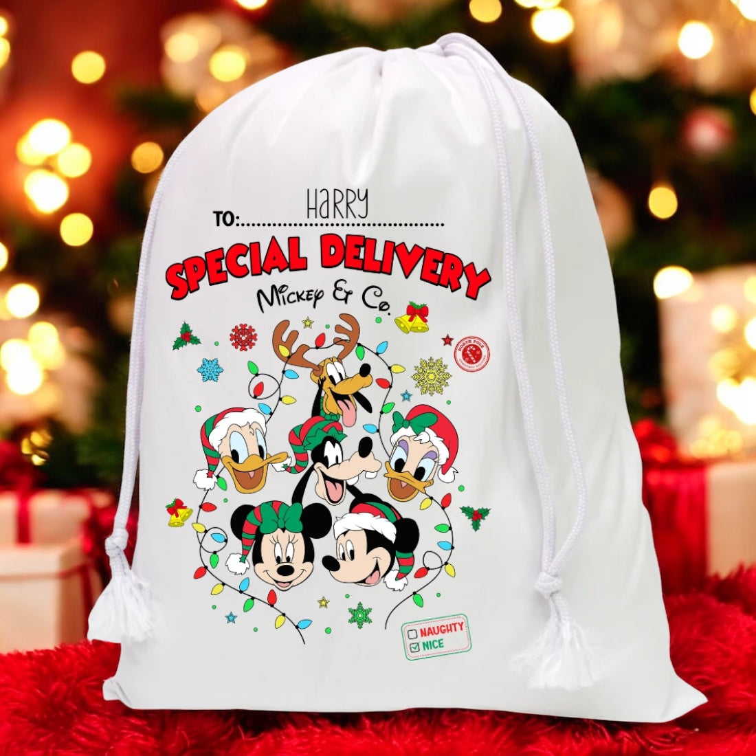 Special delivery drawstring sack