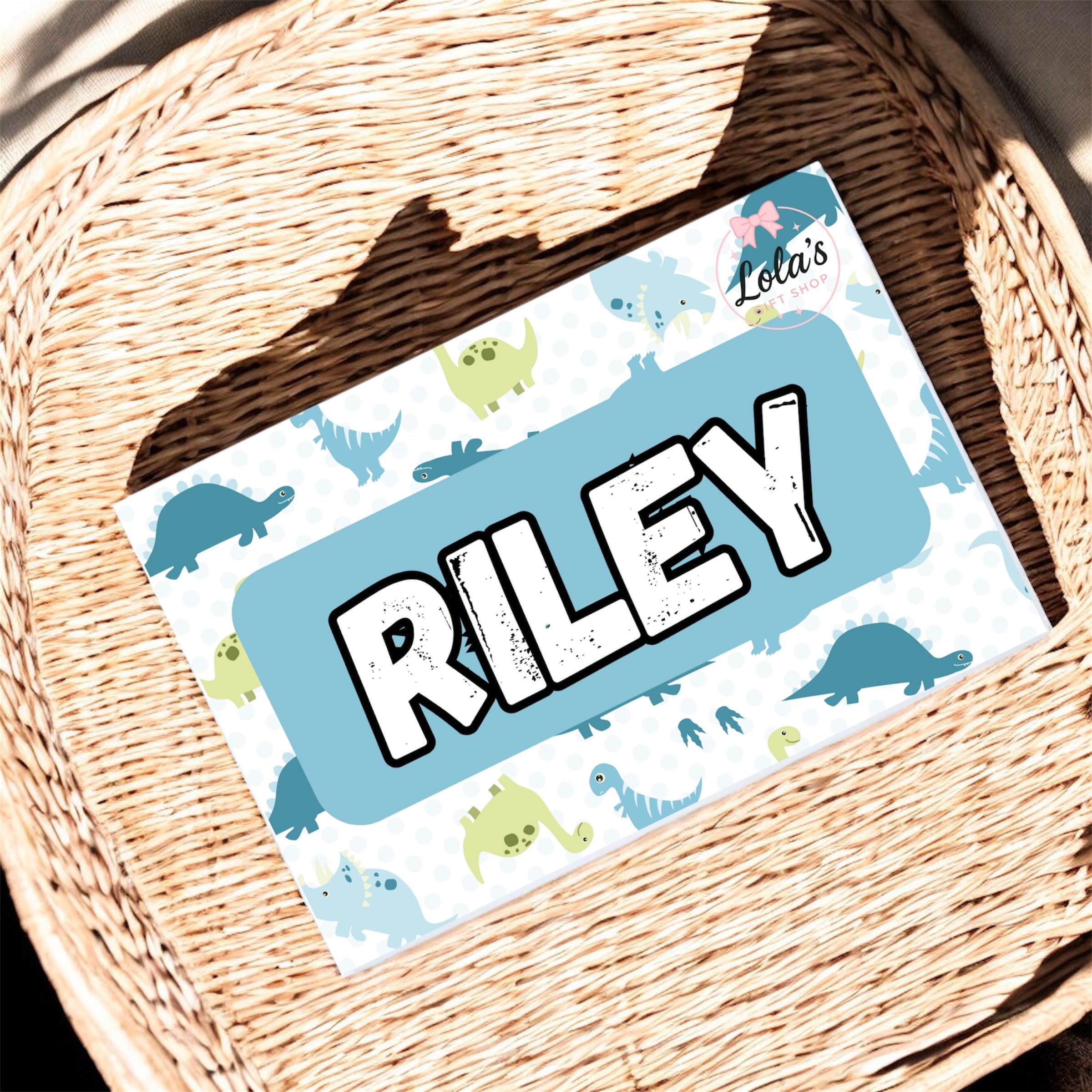 Blue Dino bedroom door plaque