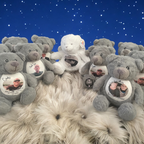 Photo memory bears